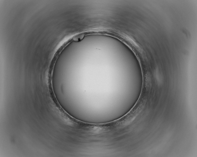 X0000112481412200908311401