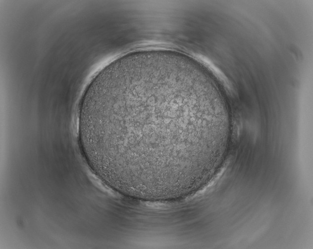 X0000112481413200908311401