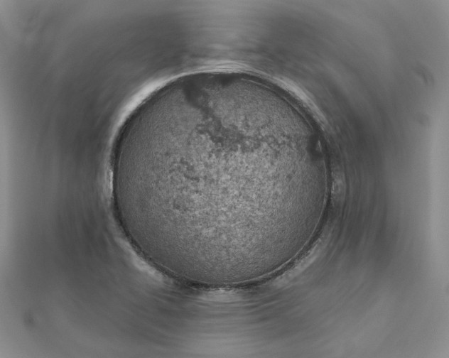 X0000112481414200908311401