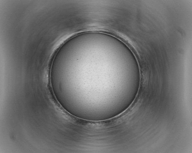 X0000112481415200908311401