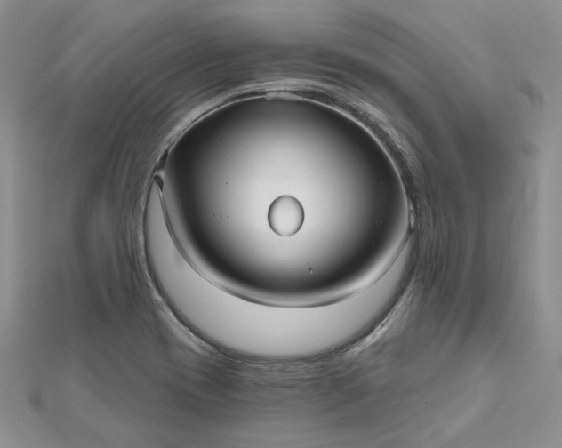 X0000112481417200908311401