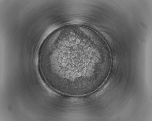 X0000112481418200908311401