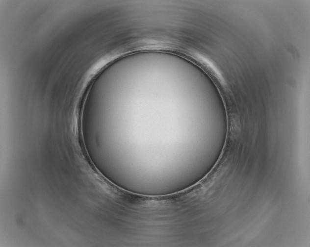 X0000112481419200908311401