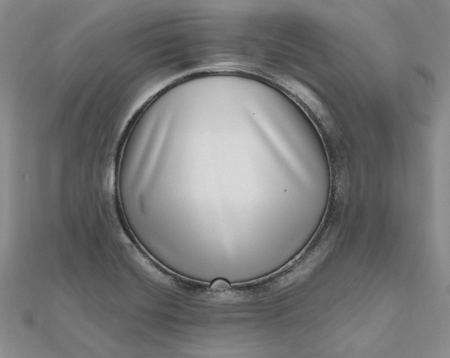 X0000112481420200908311401