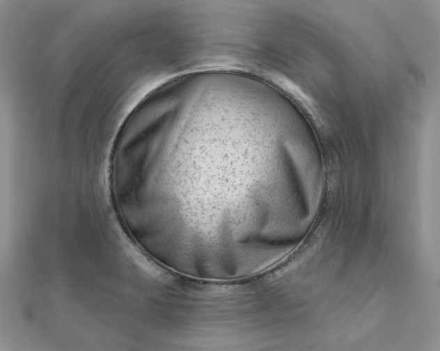 X0000112481423200908311401