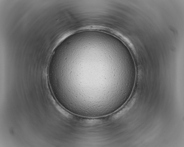 X0000112481425200908311401