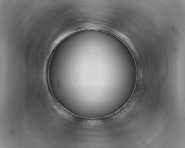 X0000112481427200908311401