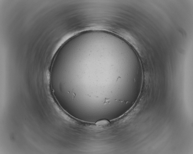 X0000112481428200908311401