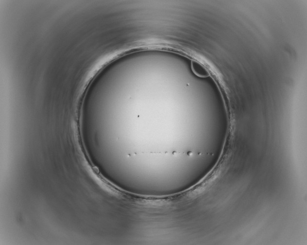 X0000112481429200908311401