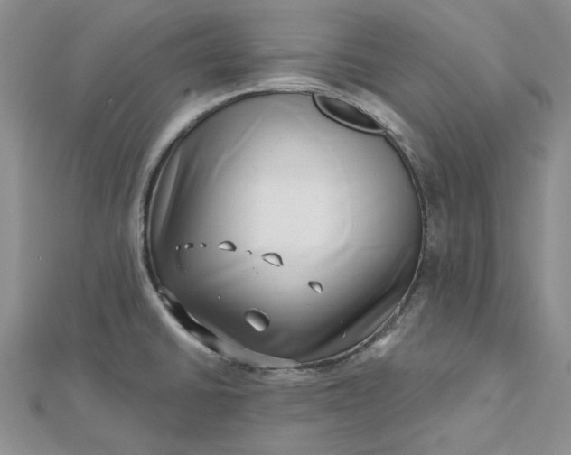 X0000112481430200908311401