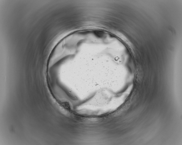 X0000112481431200908311401