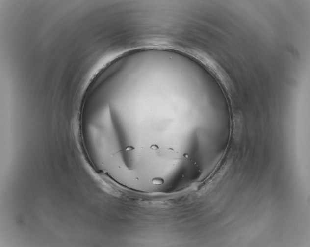 X0000112481432200908311401