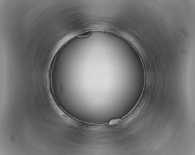 X0000112481434200908311401