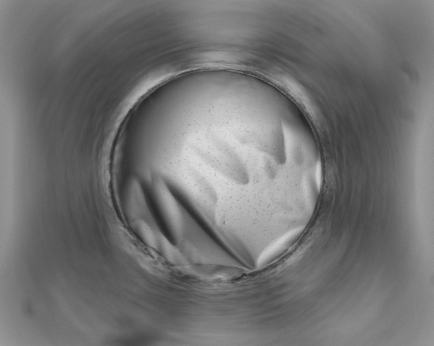 X0000112481435200908311401