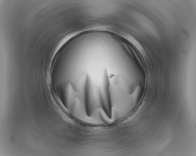 X0000112481436200908311401