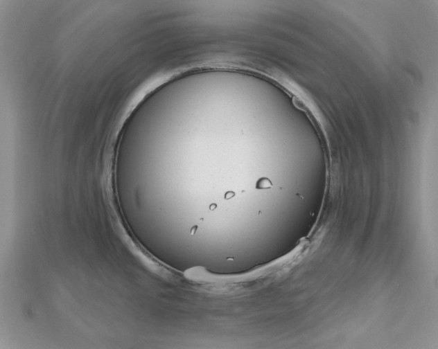 X0000112481437200908311401