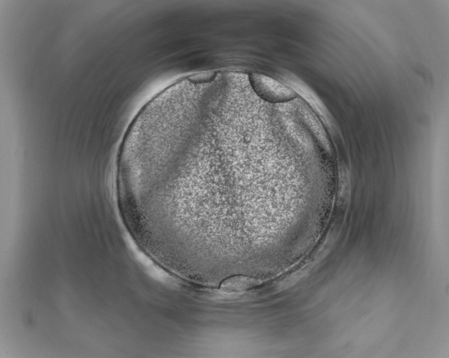 X0000112481439200908311401