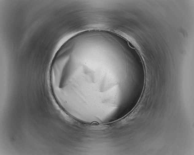 X0000112481440200908311401