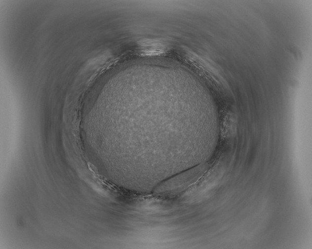 X0000112481441200908311401