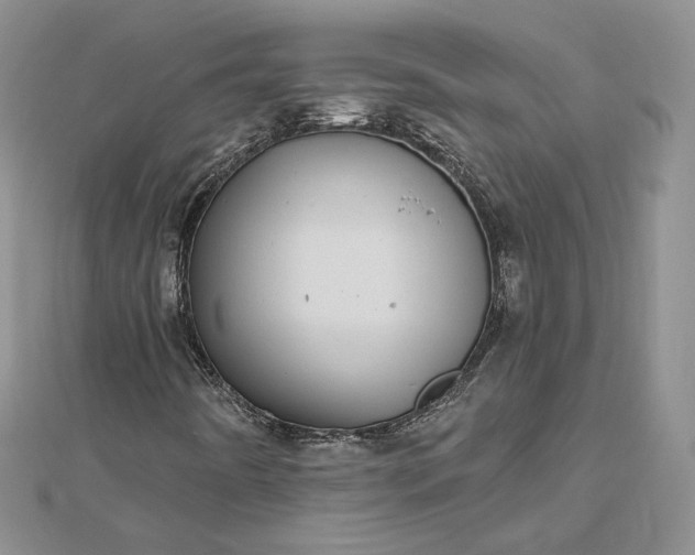 X0000112481442200908311401