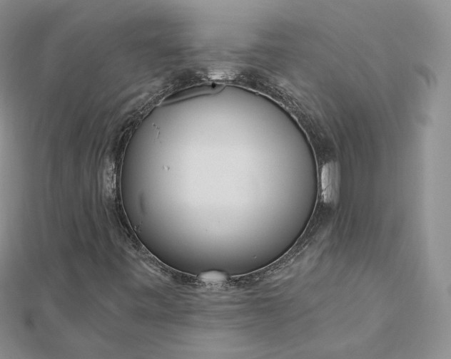 X0000112481443200908311401