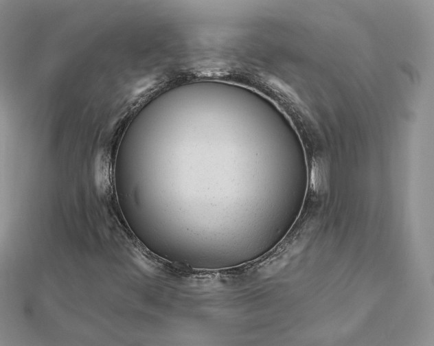 X0000112481444200908311401