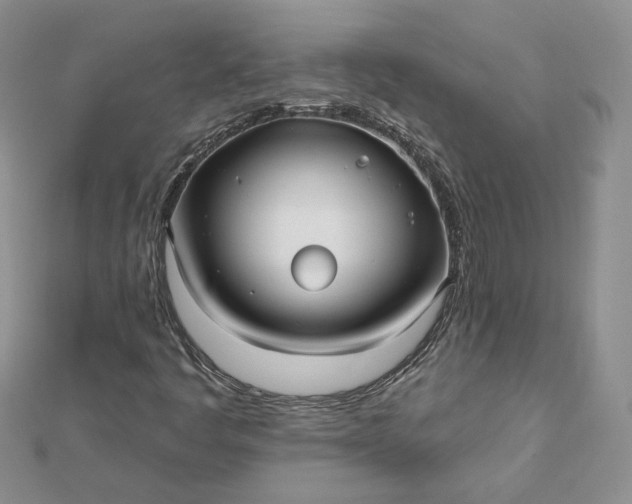 X0000112481445200908311401