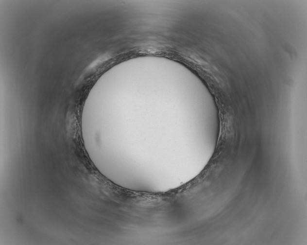 X0000112481446200908311401