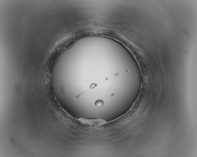 X0000112481447200908311401