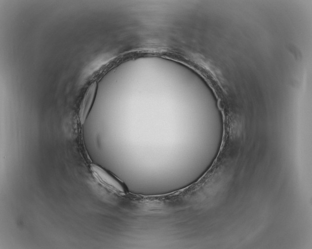 X0000112481448200908311401