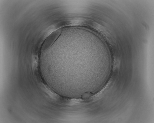 X0000112481449200908311401