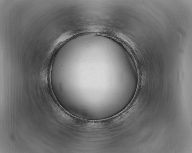 X0000112481451200908311401