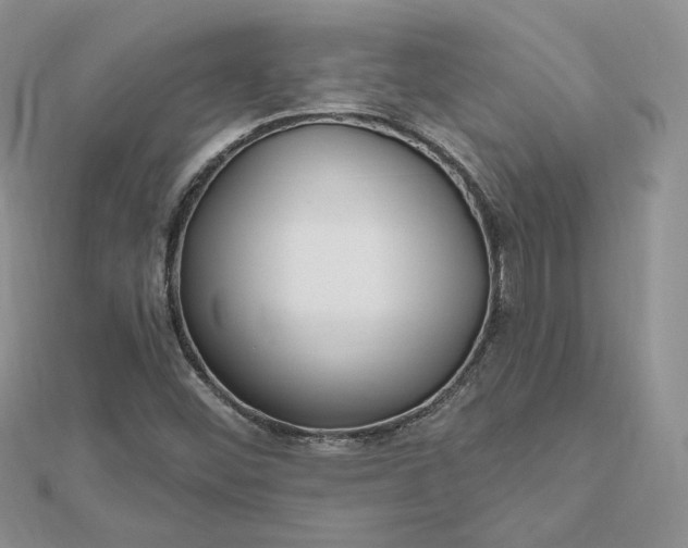 X0000112481452200908311401