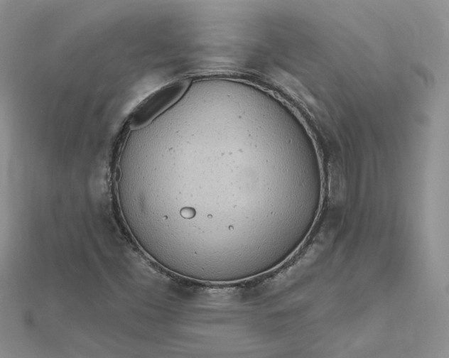 X0000112481453200908311401