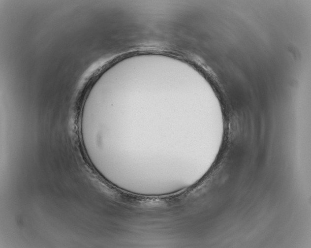 X0000112481454200908311401