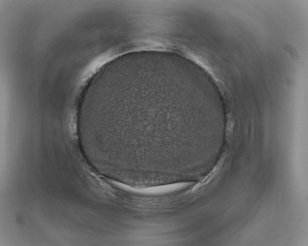 X0000112481455200908311400