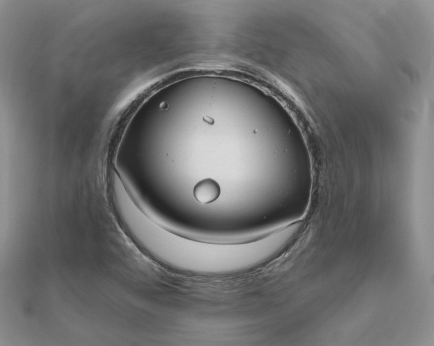 X0000112481456200908311400