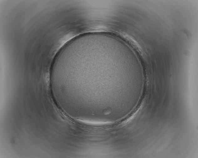 X0000112481457200908311400