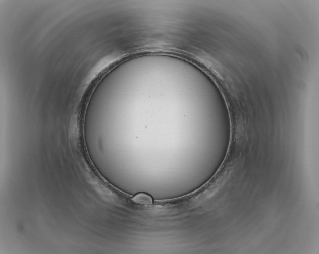 X0000112481458200908311400