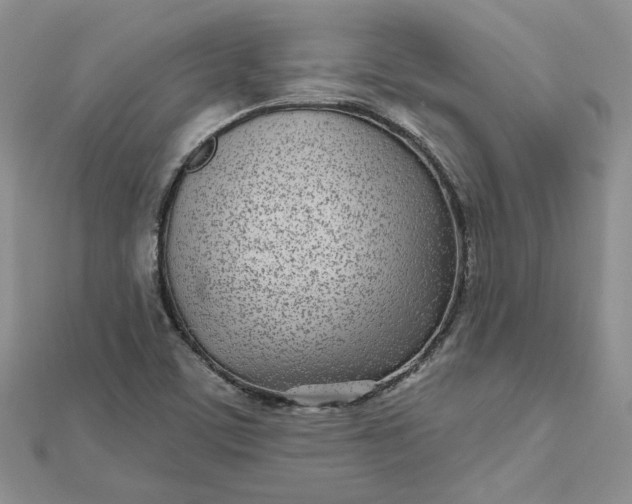 X0000112481459200908311400