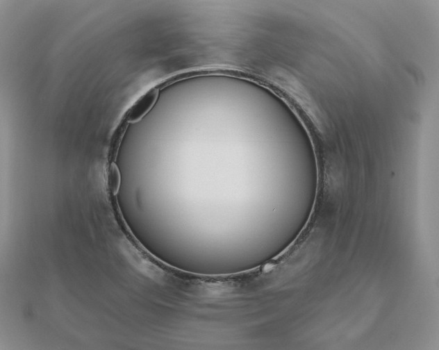 X0000112481460200908311400