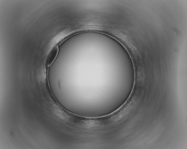 X0000112481461200908311400