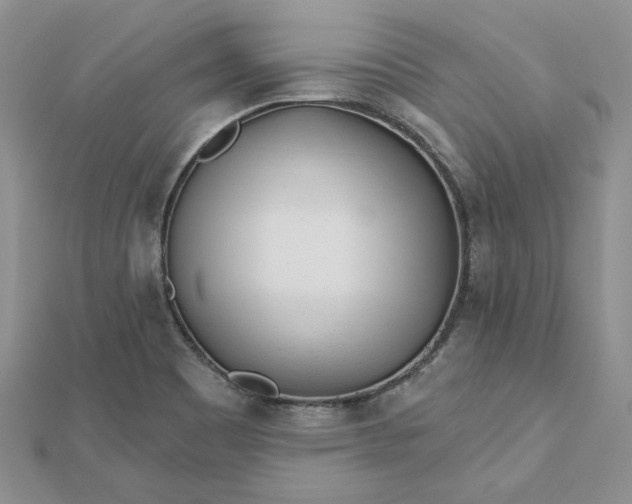 X0000112481465200908311400