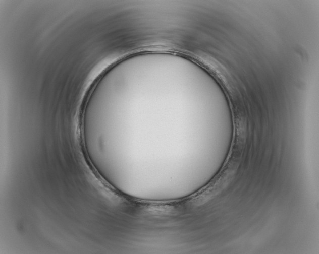 X0000112481466200908311400