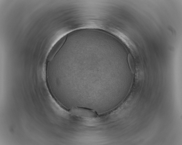 X0000112481468200908311400