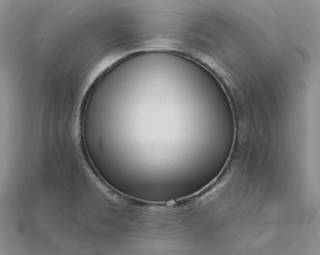 X0000112481469200908311400