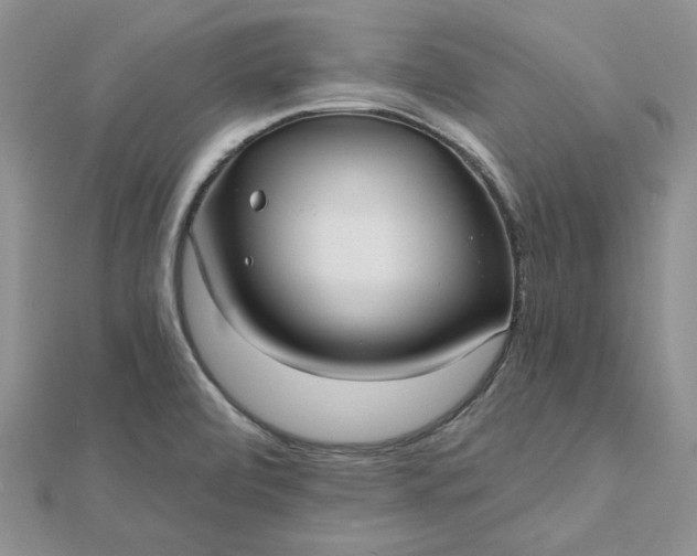 X0000112481472200908311400