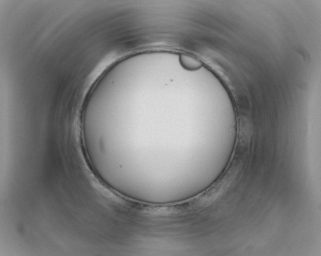 X0000112481474200908311400