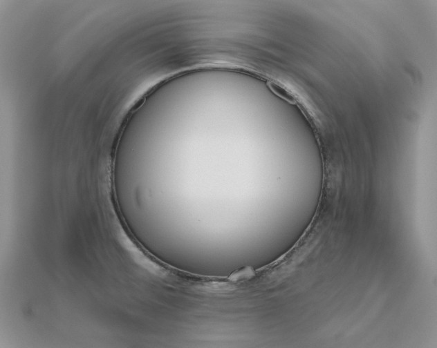 X0000112481476200908311400