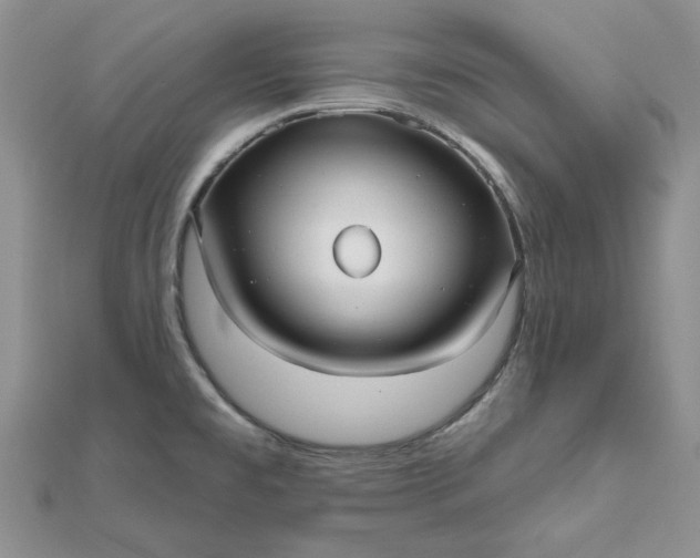 X0000112481477200908311400